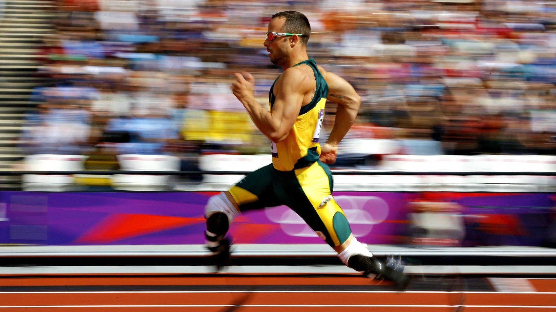 开云网站-WRC赛车维护：幕后技术保障大揭秘，wrc赛车解析